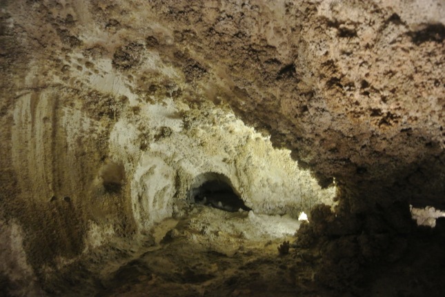 Carlsbad Caverns, NM 055